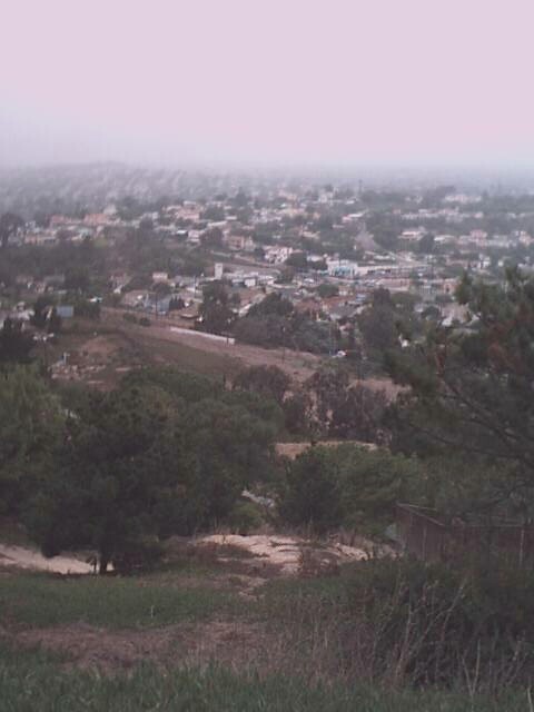 somewhat foggy/hazy suburbia, down below a weedy slope.