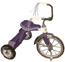 link to the story of the purple tricycle.